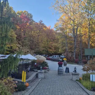 Patio view