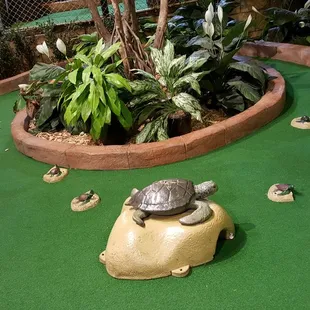 Mini golf