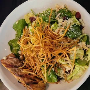 something yummy looking with salad and noodles. it is fortunate i am not the chef here.