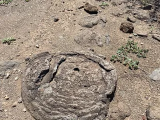 John Slaughter Ranch