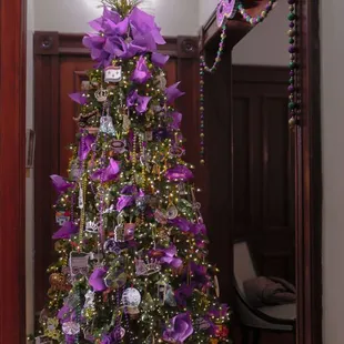 Our New Orleans Tree