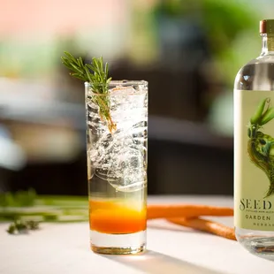 In The Garden Fresh Summertime Drink