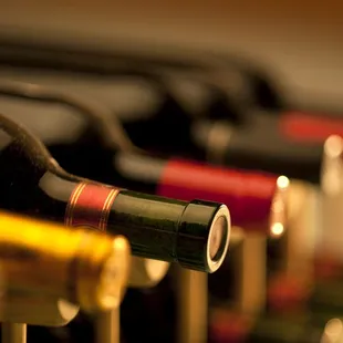 Great Selection of Fine Wines