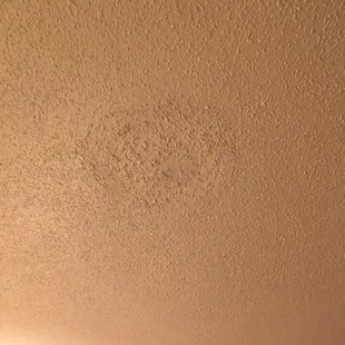 Spot in ceiling