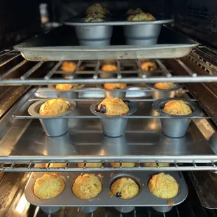 Blueberry muffins in the oven