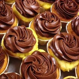 chocolate frosting on top of cupcakes