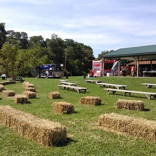Live band scheduled to perform.