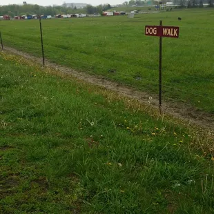 Dog walk