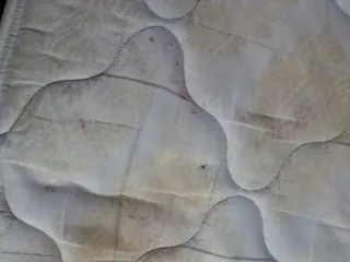 Red Roof Inn Shelbyville