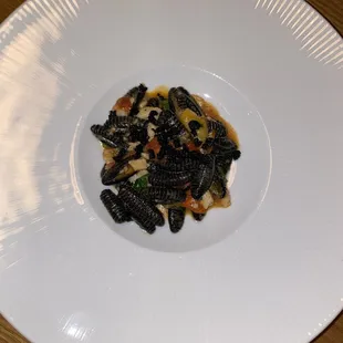 Ink Cavatelli