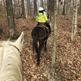 Riding through Jeff's 90 acres