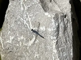 Jimmy Nash City Park