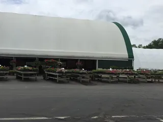 Waynes Country Market