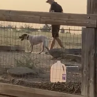 A Random 70 yr/o boy that decided to yell from across the fence that I need to go home and I should shut up