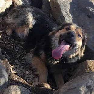 Tired from all the running around