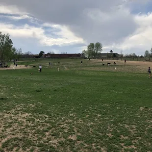 So big! So much room!