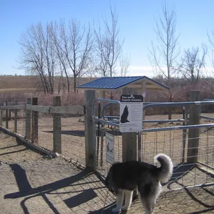 Entrance at off main parking lot... up farther is a small dog entrance to their area :)