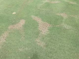 Ironwood Golf Club