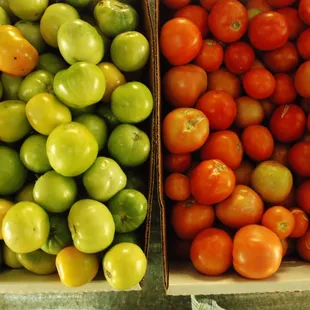 two boxes of tomatoes