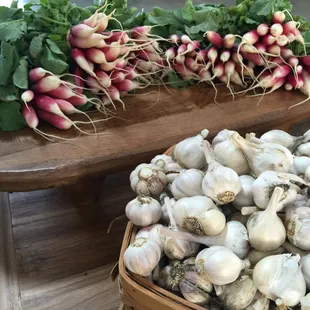 garlic and radishes