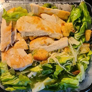 9'26'2021 Grilled Chicken Ceasar Salad