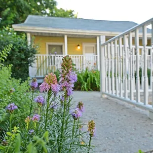 Walking Path Leading to The Buttercup Cottage