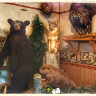 Artbyjo. Bill and Jo find a gem in Sandy Lake, Pa.