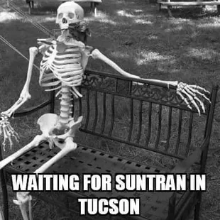 a skeleton sitting on a bench waiting for suntanh tucson