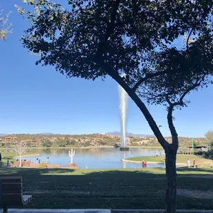 View from patio