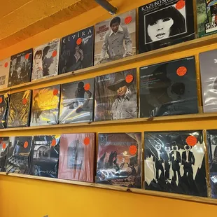 Records on display