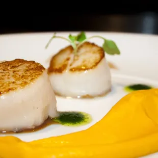 Scallops with a Carrot and Ginger Puree