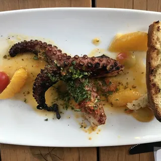 Spaniard Octopus