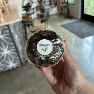 Chocolate chip muffin