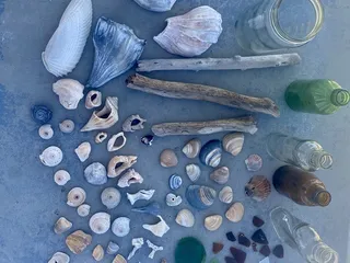 Matagorda Bay Nature Park