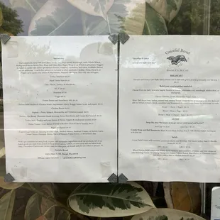 Menu on window