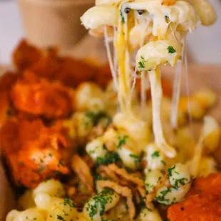 a fork lifting a piece of macaroni and cheese