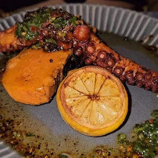 Octopus