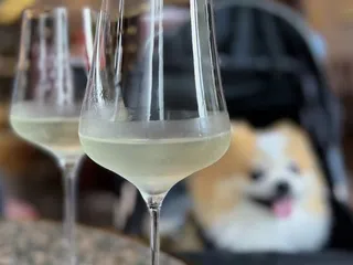 Tala Wine