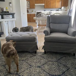 Completed chair and ottoman!