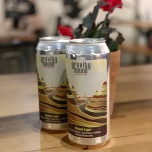 two cans of beer on a table