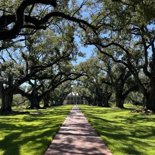 Whitney Plantation
