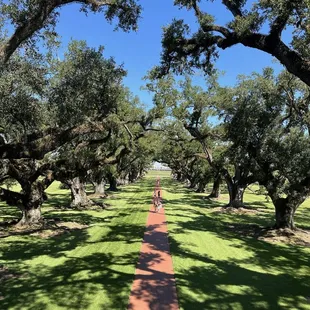 Whitney Plantation