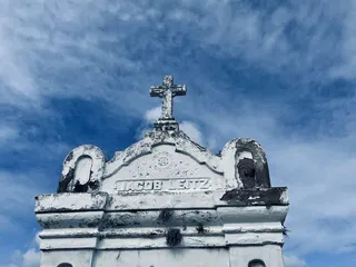 Nola Tour Guy