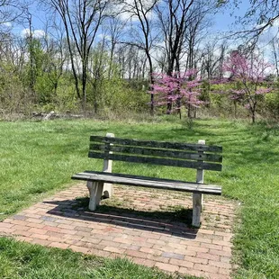 A bench by a retention pond