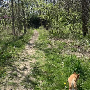 Walking the path