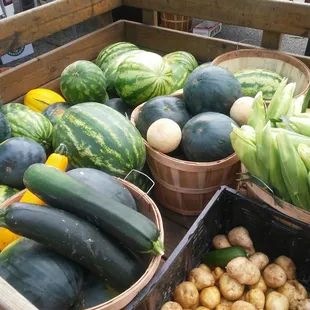a variety of vegetables