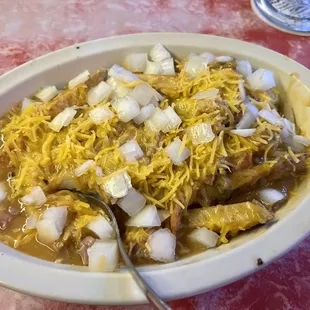 Double Slopper with onions cheese and fries