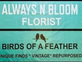 Always N Bloom