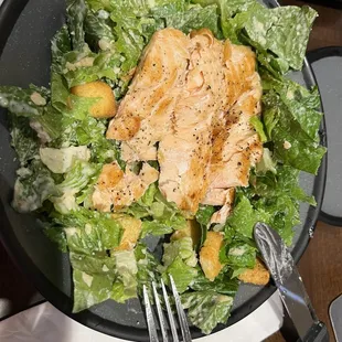 Salmon Caesar Salad