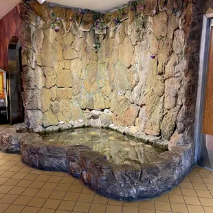 Indoor fish pond with waterfall! :)